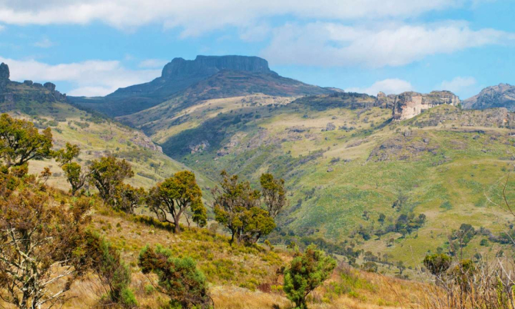 Facts About Mount Elgon - Wildlife, Peaks & Travel Guide