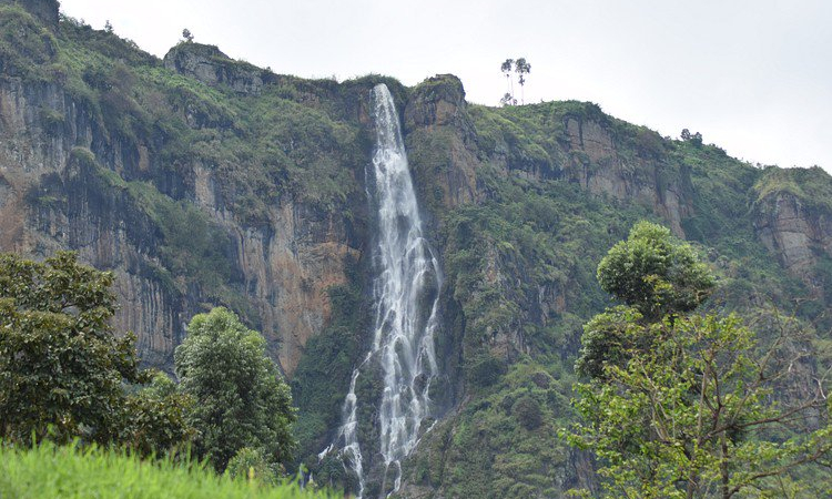 Hike Wanale Cliff in Uganda - Mount Elgon’s Hidden Gem