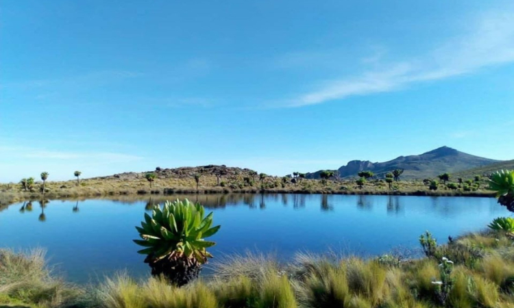 Mount Elgon Caldera - Trekking to Africa’s Largest Volcanic Crater