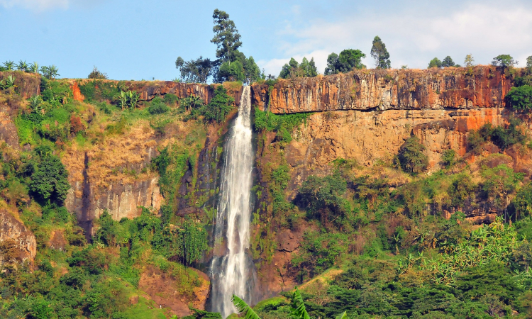 Mount Elgon in January - Dry Season Hiking & Wildlife Guide