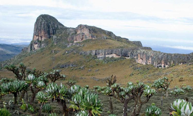 Mukoola Ridge Mount Elgon - Hiking & Cultural Heritage