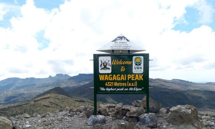 Top Attractions in Mount Elgon National Park - Peaks, Falls & Wildlife